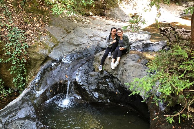 Redwoods of Marin and Mt. Tamalpais Walking Tour With Local Guide - Included and Not Included