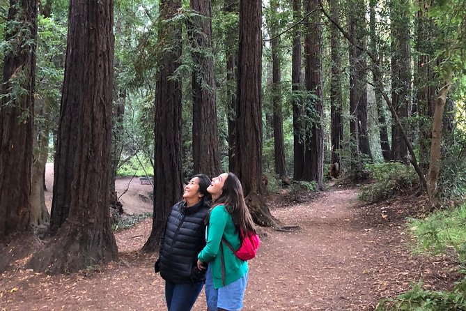Redwoods of Marin and Mt. Tamalpais Walking Tour With Local Guide - Meeting Information