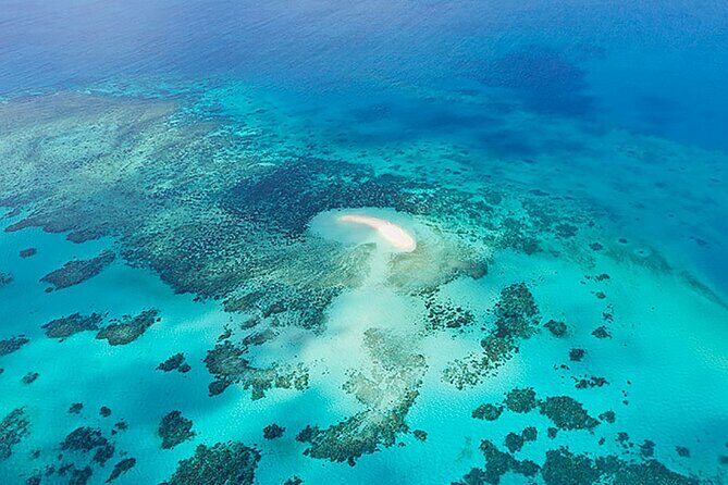 Reef and Rainforest 60 minute Scenic Flight - What to Expect from the Itinerary