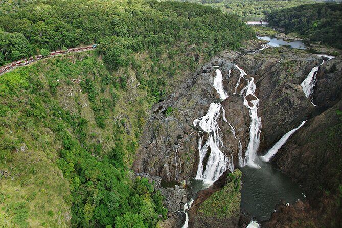 Reef and Rainforest 60 minute Scenic Flight - Frequently Asked Questions