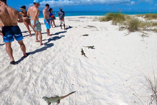 Reef, Beach and Sandbar Tour From Providenciales - Traveler Information