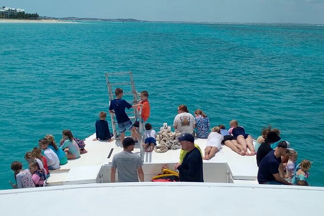 Reef, Beach and Sandbar Tour From Providenciales - Customer Feedback