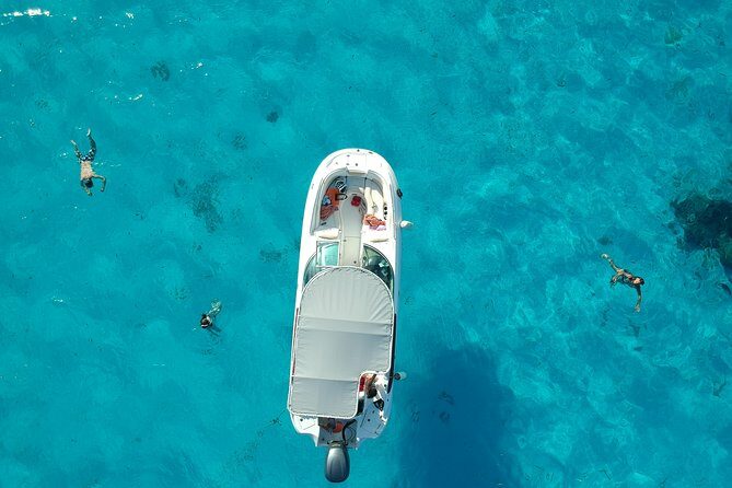 Reef Discovery Half Day Group Signature Tour - Key Points