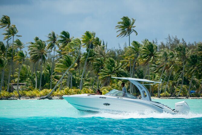Reef Discovery Private Half Day Lagoon Tour - Key Points