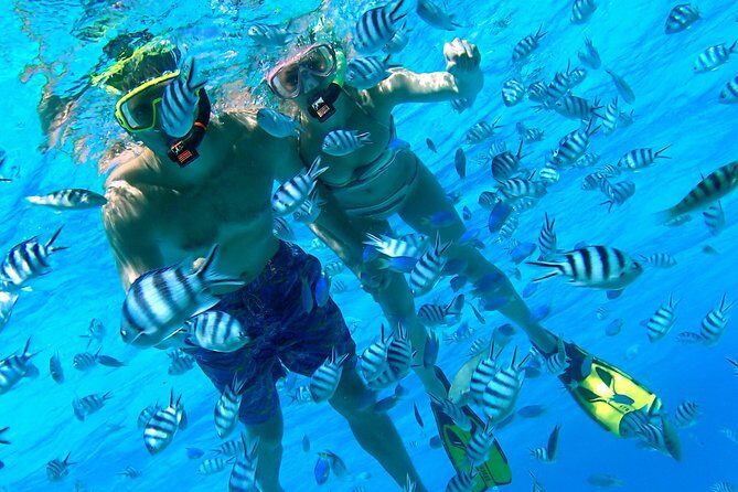 Reef Discovery Private Half Day Lagoon Tour - Discovering Bora Bora’s Lagoon with Reef Discovery