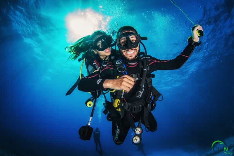 Reef Diving in Playa Del Carmen - Key Points