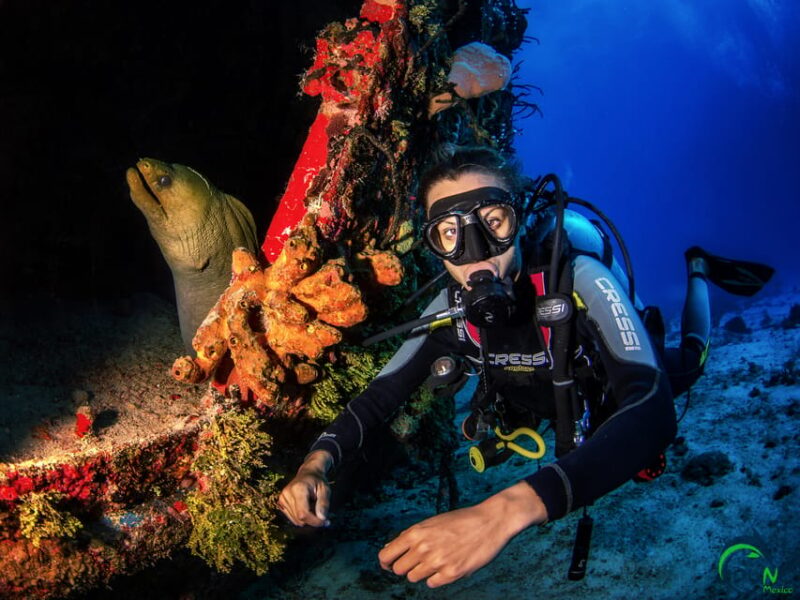 Reef Diving in Playa Del Carmen - Diving Certification and Health
