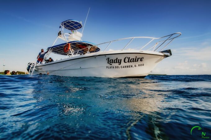 Reef Diving in Playa Del Carmen - Customer Ratings and Feedback