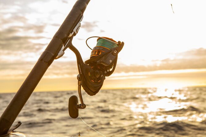 Reef Fishing Experience From Portimao - About Your Stay