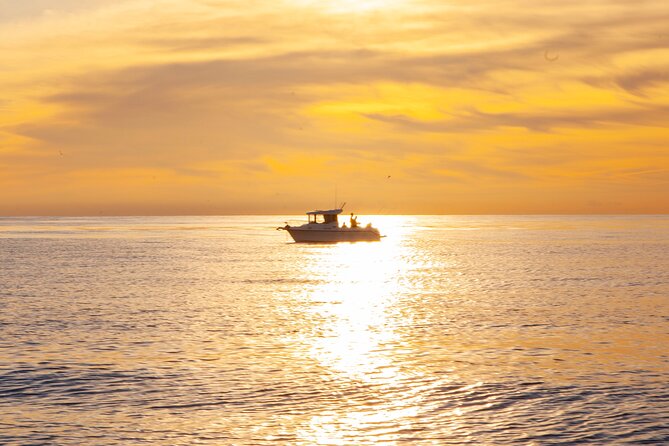 Reef Fishing Experience From Portimao - Techniques and Tactics