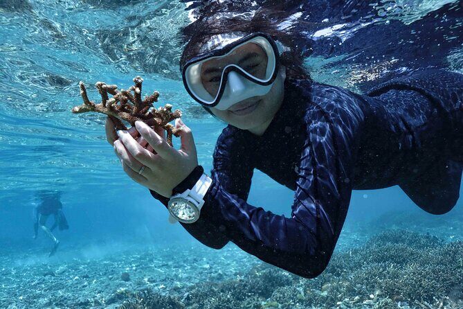 Reef Rehabilitation Course and Snorkeling - The Sum Up