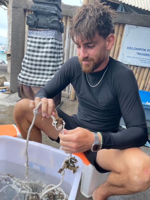 Reef Rehabilitation Course & Snorkeling - Conservation and Education