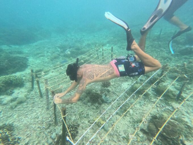 Reef Rehabilitation Course & Snorkeling - Inclusion and Exclusion