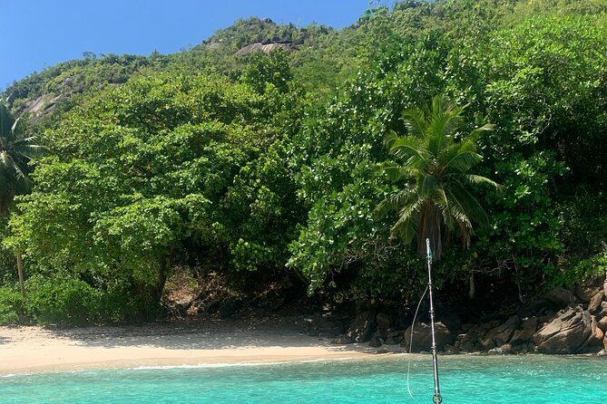 Reef Safari - Snorkeling, Fish Feeding & Lunch (Shared Day Trip) - Activity Duration and Schedule