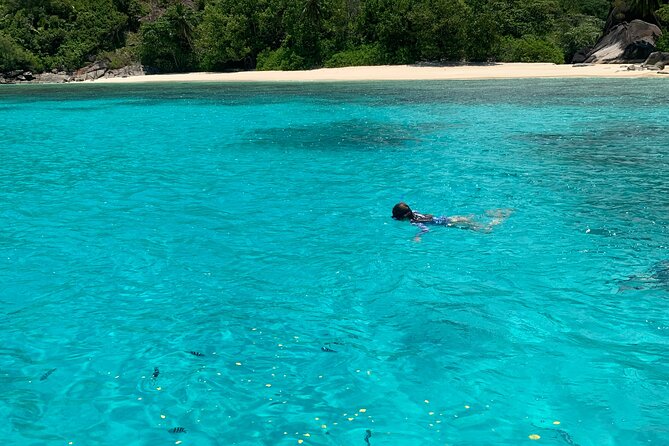 Reef Safari - Snorkeling, Fish Feeding & Lunch (Shared Day Trip) - Exploring St. Anne Marine National Park