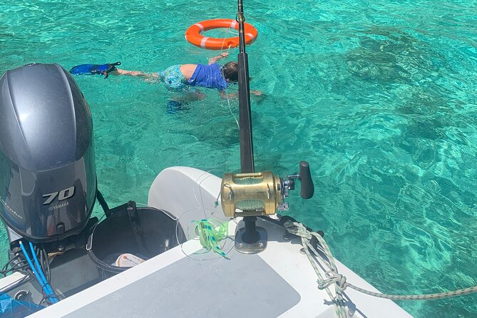 Reef Safari - Snorkeling, Fish Feeding & Lunch (Shared Day Trip) - Hiking and Giant Tortoises