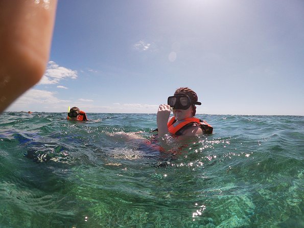 Reef Snorkel In National Park In Puerto Morelos With Lunch And Transportation - Detailed Tour Itinerary
