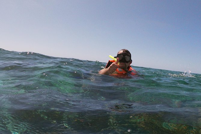 Reef Snorkel In National Park In Puerto Morelos With Lunch And Transportation - Participant Requirements and Accessibility