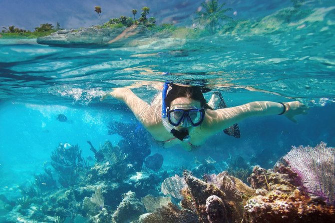 Reef Snorkel In National Park In Puerto Morelos With Lunch And Transportation - Highlights of the National Reef Park