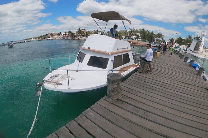 Reef Snorkel In National Park In Puerto Morelos With Lunch And Transportation - Customer Feedback and Reviews