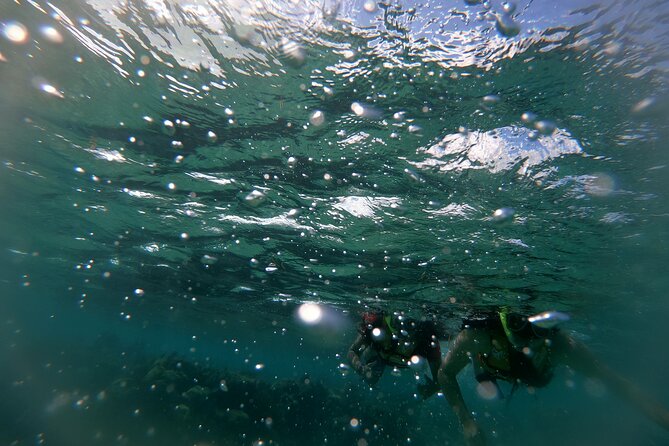Reef Snorkel In National Park In Puerto Morelos With Lunch And Transportation - Booking and Cancellation Policy