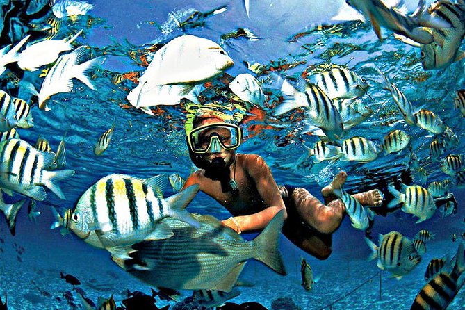 Reef Snorkel & Ocean Paddle Adventure in Fort Lauderdale Beach - Meeting Point and Pickup
