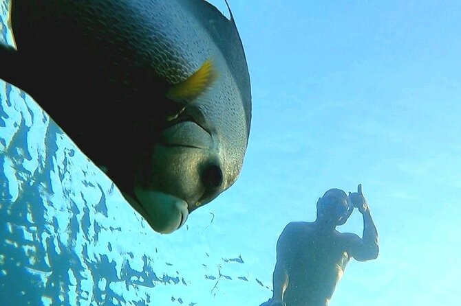 Reef Snorkel & Ocean Paddle Adventure in Fort Lauderdale Beach - Reviews