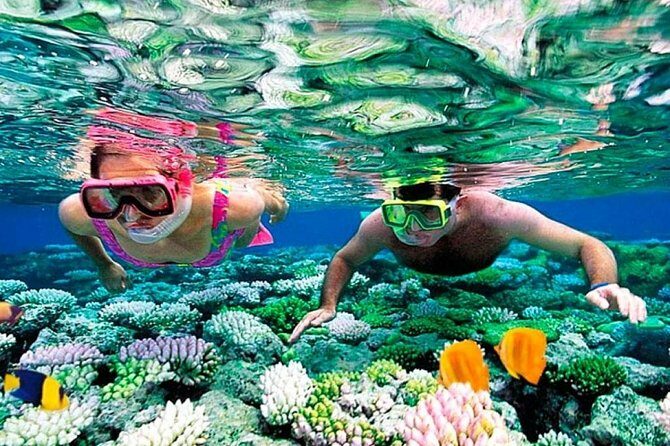 Reef Snorkel, underwater adventure in Puerto Morelos With Transportation & Lunch - Analyzing the Value