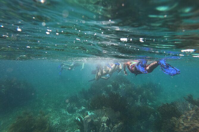 Reef Snorkel, underwater adventure in Puerto Morelos With Transportation & Lunch - FAQ