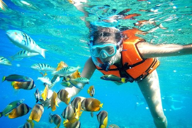 Reef Snorkeling in National Park From Cancun With Beachside Lunch - Tour Pricing and Cancellation