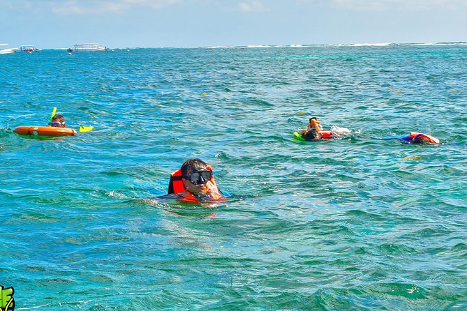 Reef Snorkeling in National Park From Cancun With Beachside Lunch - Transportation and Equipment