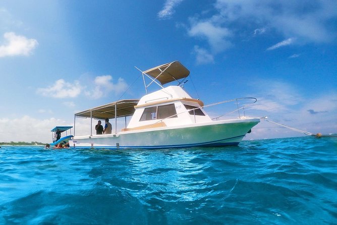Reef Snorkeling in National Park From Cancun With Beachside Lunch - Included Meals and Activities