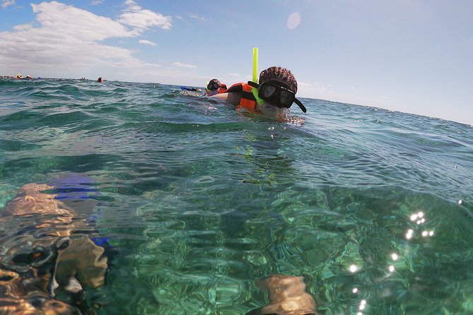 Reef Snorkeling With ATV, Zipline, Cenote That Includes Lunch and Transportation - Activities Included