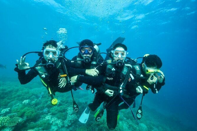 Reef Tour with SCUBA Dive from Cairns, pontoon with activities - A Deep Dive into the Experience