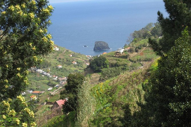 Referta Castelejo Levada Walk From Funchal - Participant Requirements