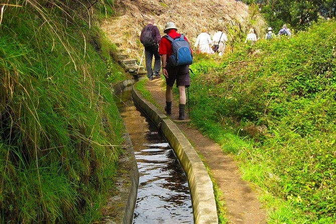 Referta Castelejo Levada Walk From Funchal - Reviews and Ratings