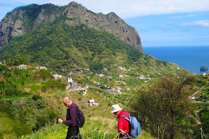 Referta Castelejo Levada Walk From Funchal - Flora and Fauna Sightings