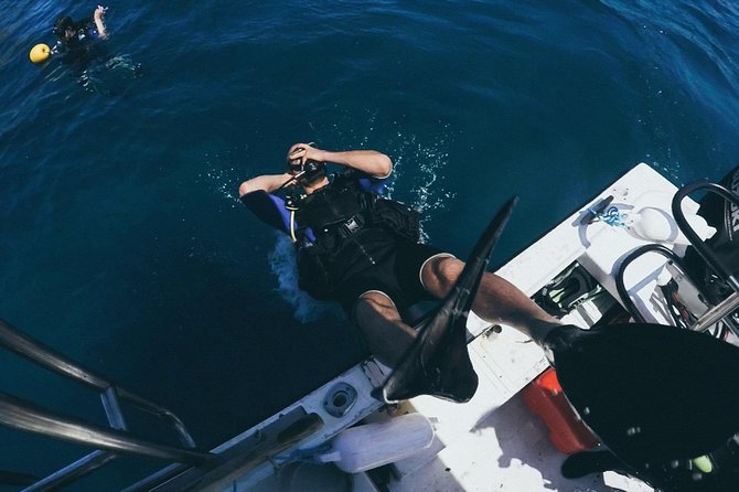Refresher Scuba Diving Course Costa Rica - Inclusions and Amenities