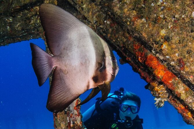 Refresher Scuba Diving Trip, 3 Dives at Racha Noi and Racha Yai - Racha Noi and Racha Yai Destinations