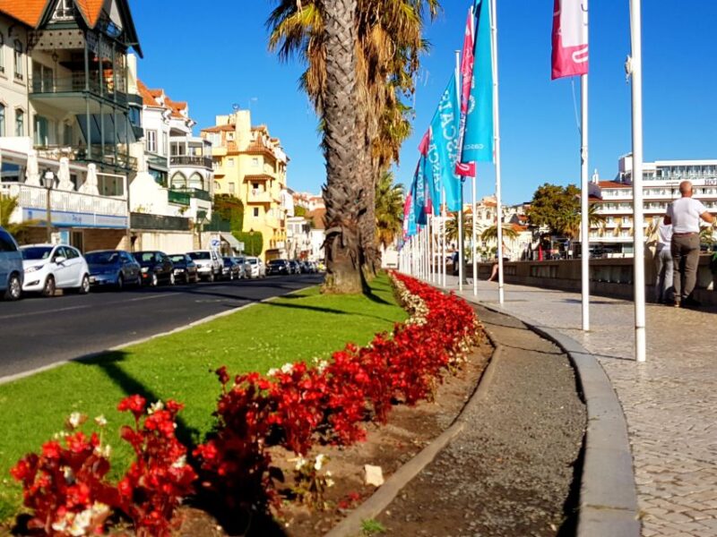 Regaleira Magic Tour With Wine Sampling - Transportation Details