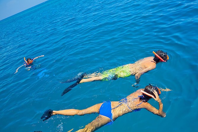 Reggae Catamaran Cruise With Snorkeling From Montego Bay - Guest Reviews and Feedback