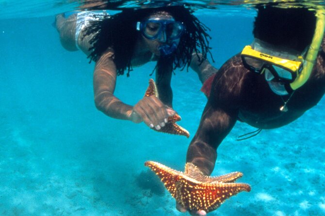 Reggae Rafting Experience With Power Snorkel Party Cruise - Meeting and Pickup Details