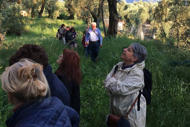 Reggio Calabria Museum and City Guide . Direct Moses - Recap