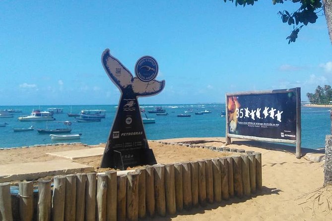 Regular Tour to Forte Beach - Leaving Salvador by Bahia Top Turismo - Tour Highlights
