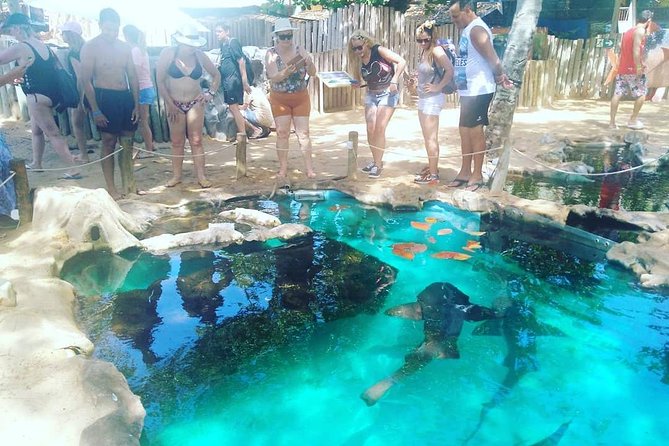 Regular Tour to Forte Beach - Leaving Salvador by Bahia Top Turismo - Additional Tour Details