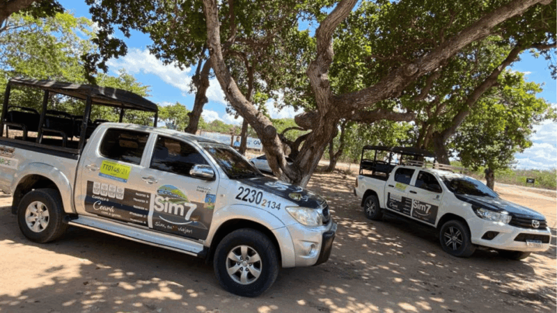 Regular Transfer From Vila De Jeri to Jeri Airport - Key Points