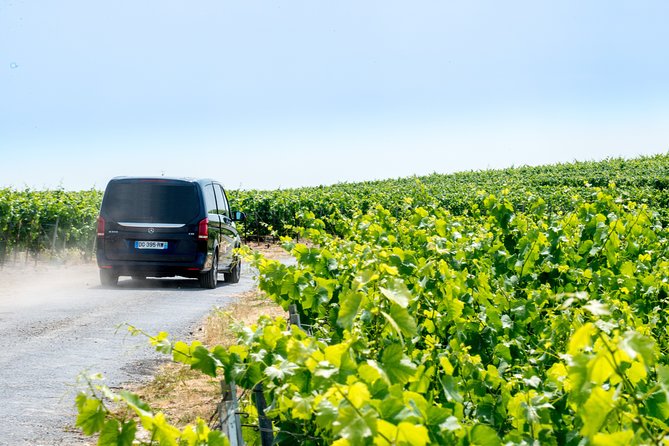 Reims Afternoon Tour Champagne and Family Growers - Tour Inclusions Explained
