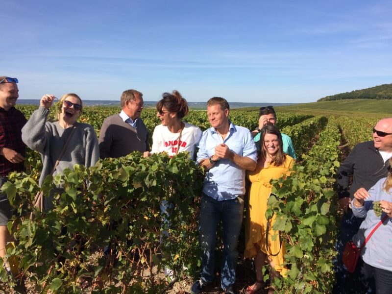 Reims/Epernay: Champagne Day Tour With Tastings - Experience and Activities