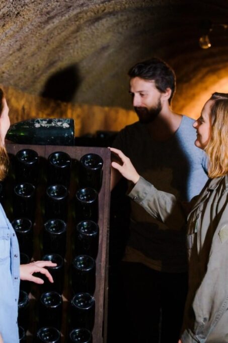 Reims & Epernay: Full Day Private Champagne Tour & 2 Growers - Itinerary