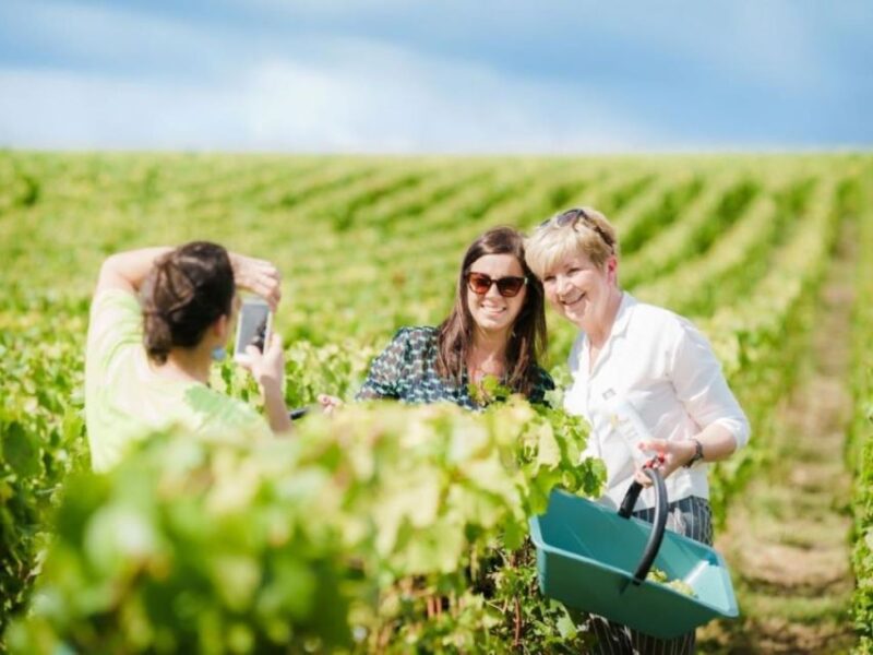 Reims-Epernay Pass: 72h - Inclusions and Discounts